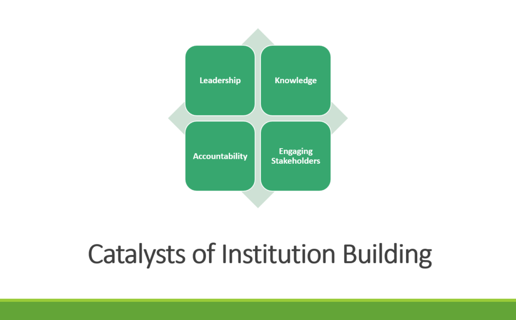 catalysts of institution building in sfurti
